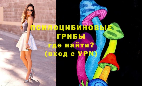 гидропоника Аркадак